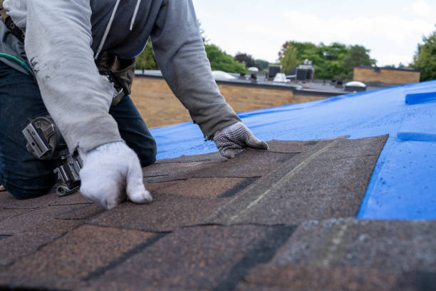 Best Gutter Installation and Roofing  in Village Green, NY